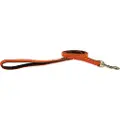 Kentucky Nylon Plaited Hundesnor 12 Mm
