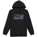 O'Neill Essentials Hættetrøje