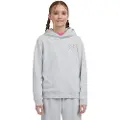 O'Neill Essentials Hættetrøje