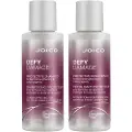 Joico Defy Damage Protective Travel Duo - 2x50ml