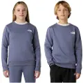 The North Face Simple Dome Sweatshirt