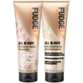 Fudge All Blonde Colour Lock Set - 250ml+250ml