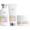 Wella Colormotion+ Luxe Set