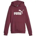 Puma Ess Logo Fl G Hættetrøje