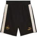 Puma FC Red Bull Salzburg KING Sweat Shorts Men, Sport, Black/Matte Gold, XXL