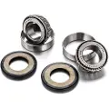 FACTORY LINKS Rieju 50cc Styrlagerkit