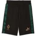 Puma Borussia Mönchengladbach KING Shorts Men, Sport, Black/Gold, M