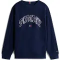 Tommy Hilfiger Sweatshirts Tommy Hilfiger VARSITY RAISED PRINT SWEATSHIRT barn 10 år