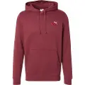 Puma Ess 2 Color Small Fl No 1 Logo Hættetrøje