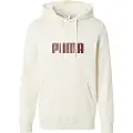 Puma Ess 2 Color No 1 Logo Hættetrøje