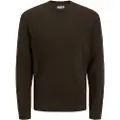 Jack & Jones Globe Trøje