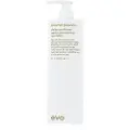 Evo Normal Persons Conditioner