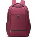 Delsey Voyager 2-cpt 24l Rygsæk