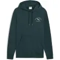 Puma Class Graphic Hættetrøje