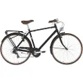 Alpina Freetime 28´´ 7s Cykel