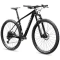 Head Trenton 2.0 29´´ Mtb Cykel