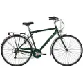 Alpina Roxy 28´´ 6s Cykel