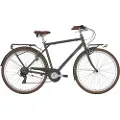 Alpina Velvet 28´´ 7s Cykel