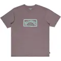 Billabong Arch Frame T-shirt Med Korte ærmer