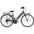 Alpina Moving Trk 28´´ 6s Lady Cykel