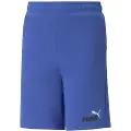Puma Ess+ 2 Col Tr Shorts