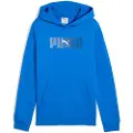 Puma Ess Logo Lab Hættetrøje