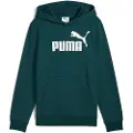 Puma ESS No. 1 Logo Fleece Hoodie Youth, Clothing, Green Terrain, 9-10Y