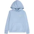 Jack & Jones Brandes Relaxed Hættetrøje