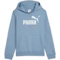 Puma Ess Nº 1 Logo Hættetrøje