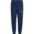 Karl Lagerfeld Box Logo Regular Sportsbukser