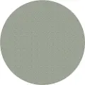 Magni Trizcat P1000 Slibeskive 15 Enheder