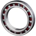 Zipp 61803 Ceramic Lejer