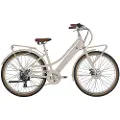 Alpina V1 Agave 27.5´´ Elektriskcykel