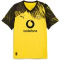 Puma Borussia Dortmund 25/26 Home Jersey Men, Sport, Faster Yellow/Black, XS