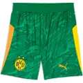 Puma Borussia Dortmund 25/26 Goalkeeper Shorts Men, Sport, Archive Green/Intense Orange, XS