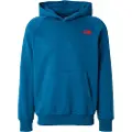 The North Face Redbox Nse Hættetrøje