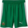 Puma SK Rapid Wien 25/26 Shorts Men, Sport, White/Sport Green, M