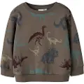 Name It Mini Økologisk Bomuld Sweatshirt