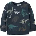 Name It Mini Økologisk Bomuld Sweatshirt