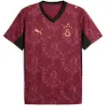 Puma Galatasaray SK 25/26 Third Jersey Men, Sport, Regal Red/Gold, 3XL
