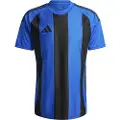 Adidas Striped 24 T-shirt Med Korte ærmer