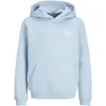 Jack & Jones Norrebro Typo Back Hættetrøje