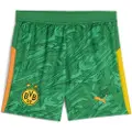 Puma Borussia Dortmund 25/26 Goalkeeper Shorts Youth, Clothing, Archive Green/Intense Orange, 9-10Y