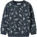 Name it Normal Pasform Sweatshirt