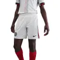 Nike Chelsea FC 2025/26 Stadium Away Nike Dri-FIT Replica-fodboldshorts til mænd - grå
