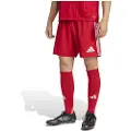 Adidas Tastigo 25 Shorts