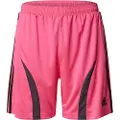 Adidas Originals Teamgeist Adicolor Shorts