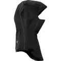Smartwool Merino 250 Elefanthue