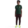 Nike Chelsea F.C. Academy Pro Nike Dri-FIT-opvarmningstrøje til fodbold til større børn - grøn