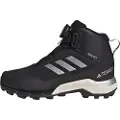 Adidas Terrex Winter Mid Boa R.rdy Vandresko